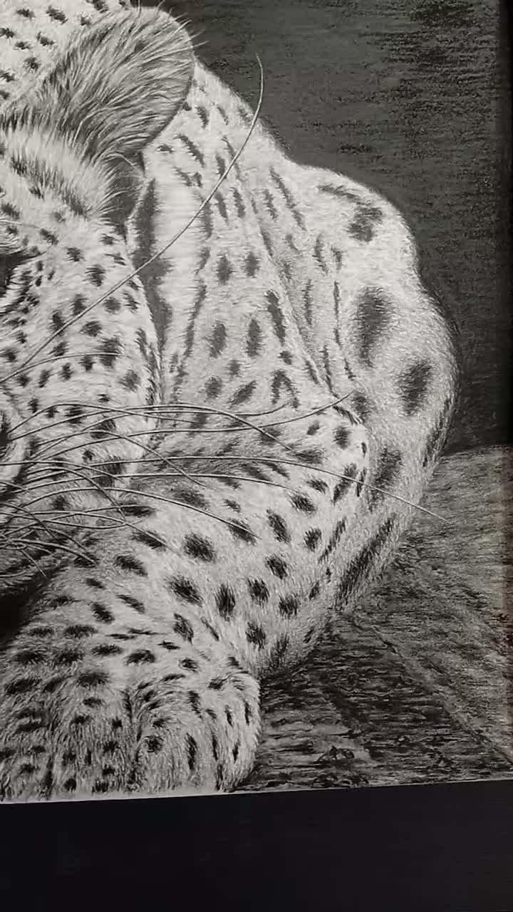 نقاشی غرش پلنگ|تابلو، نقاشی، عکس|لنجان, |دیوار