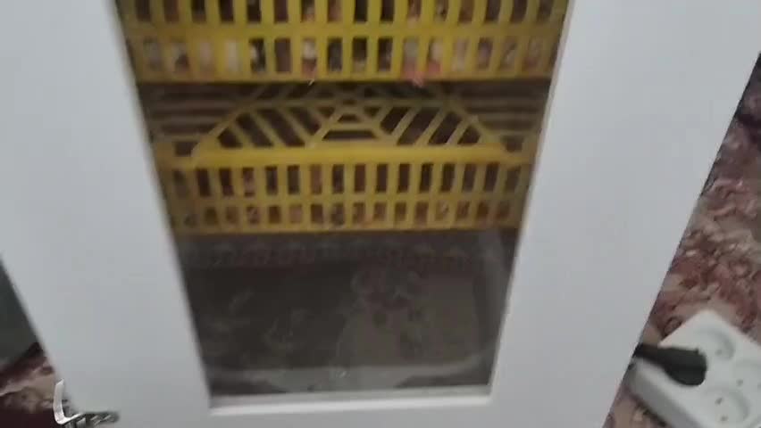 دستگاه جوجه کشی درب سبــکorginal|لوازم جانبی حیوانات|سمنان, |دیوار