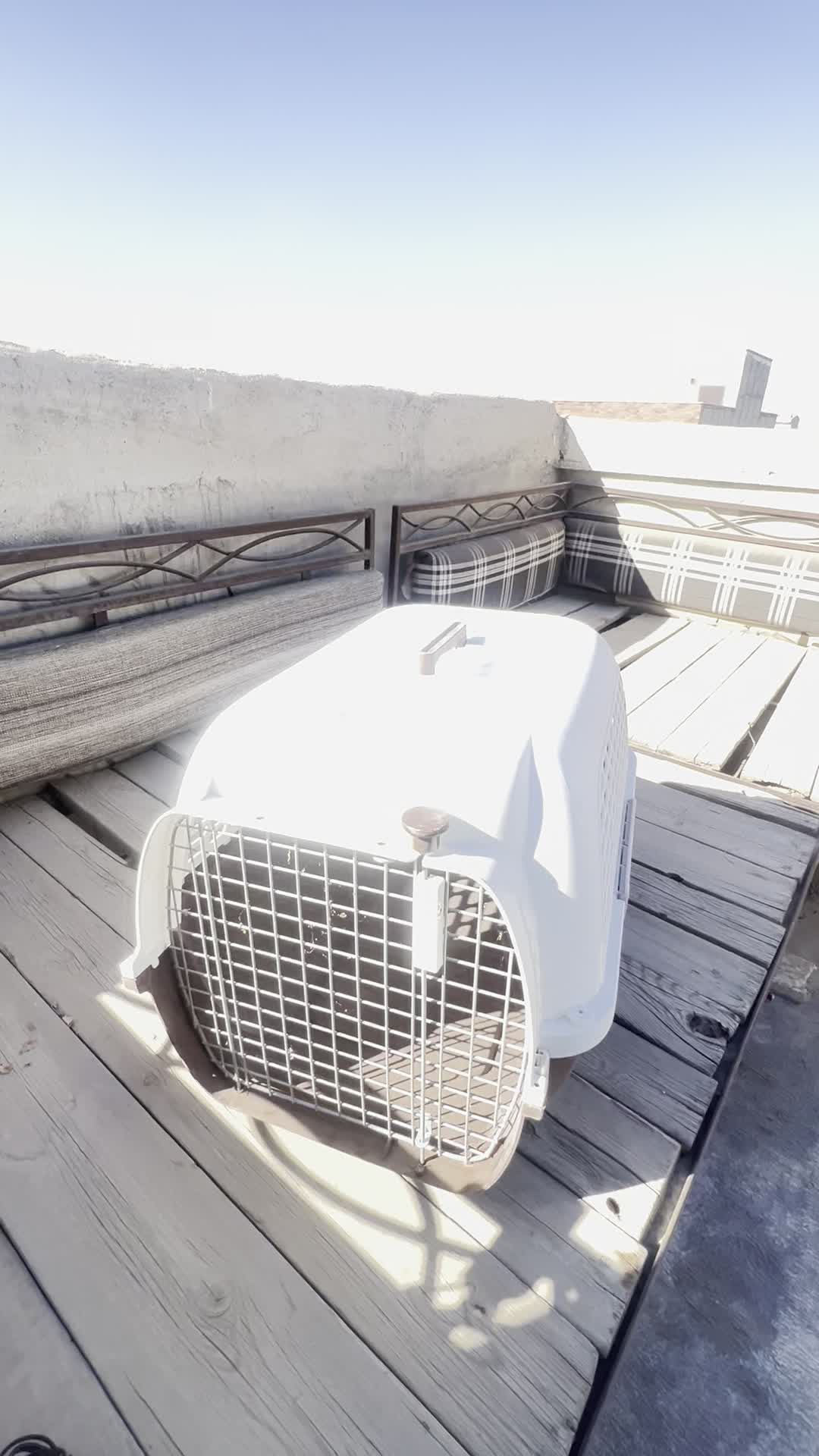 باکس حمل سگ های کوچک ، استاندارد پرواز|لوازم جانبی حیوانات|کرج, فاز ۲ مهرشهر|دیوار