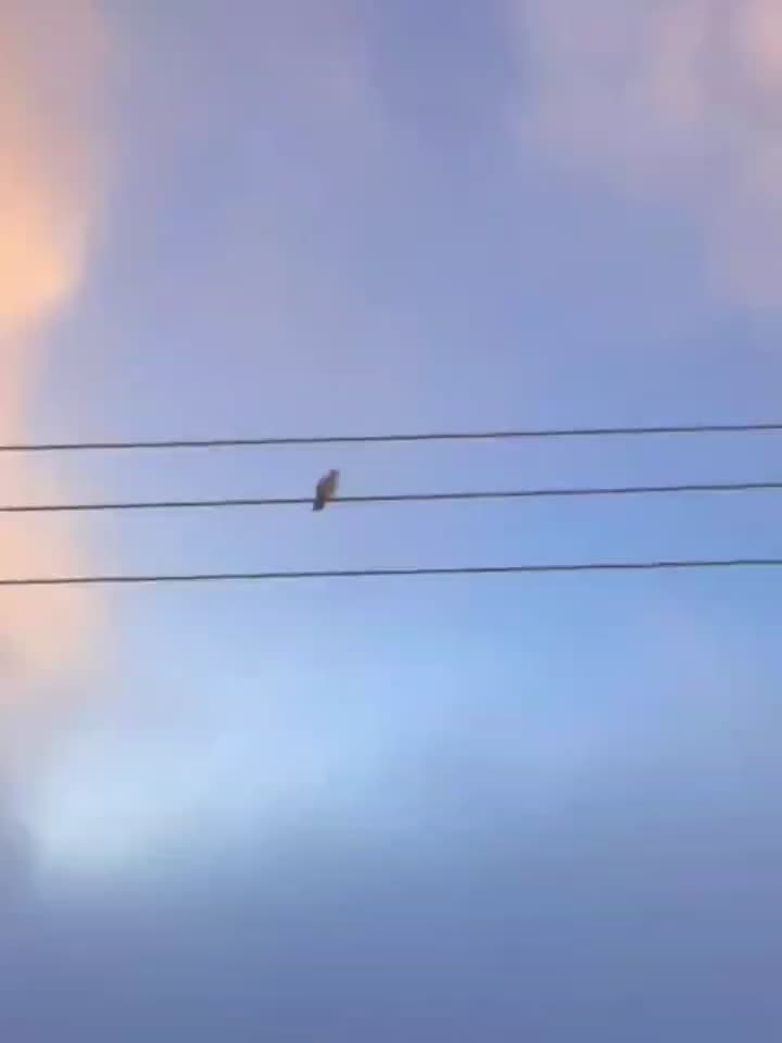 دوربین عکاسی کامپکت سامسونگ WB855F|دوربین عکاسی و فیلم‌برداری|دزفول, |دیوار