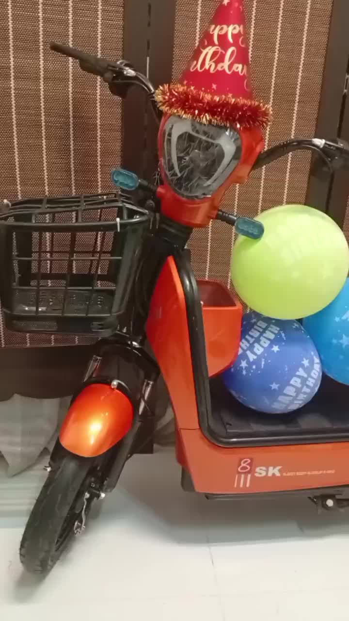 دوچرخه برقی مدرن - با خدمات پس از فروش|دوچرخه، اسکیت، اسکوتر|شیراز, سینما سعدی|دیوار