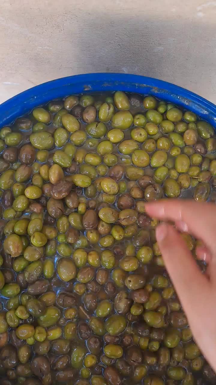 زیتون تازه محلی رودبار|خوردنی و آشامیدنی|رشت, پل تالشان|دیوار