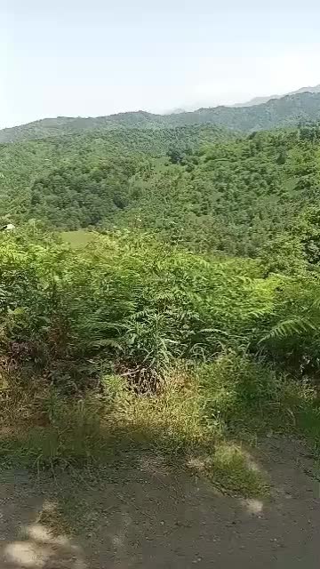 فروش ویژه دوقطعه زمین اطاقور|فروش دفتر صنعتی، کشاورزی، تجاری|اطاقور, |دیوار