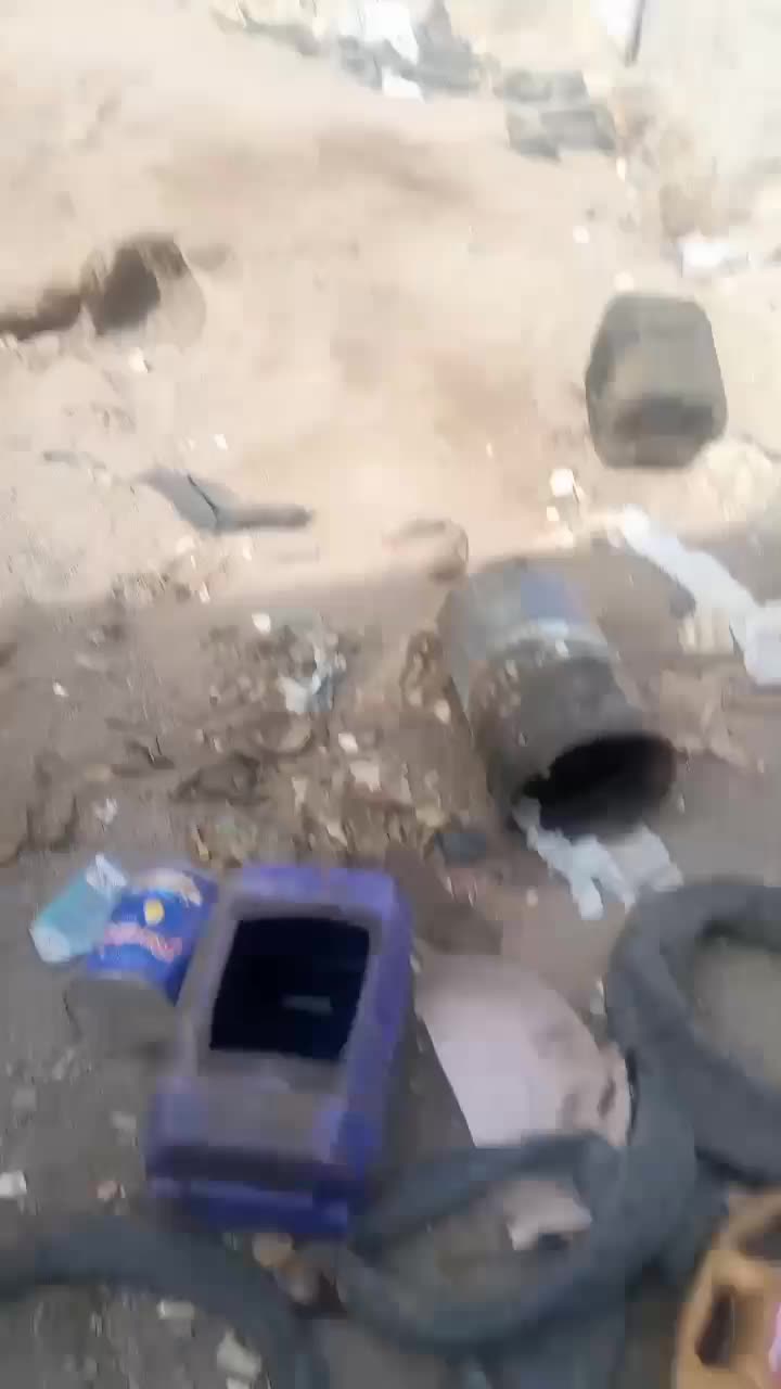 سگ فروشی|سگ|کشکوئیه, |دیوار