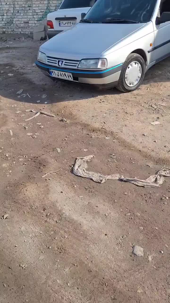 فروش|خودرو سواری و وانت|طارم (زنجان), |دیوار