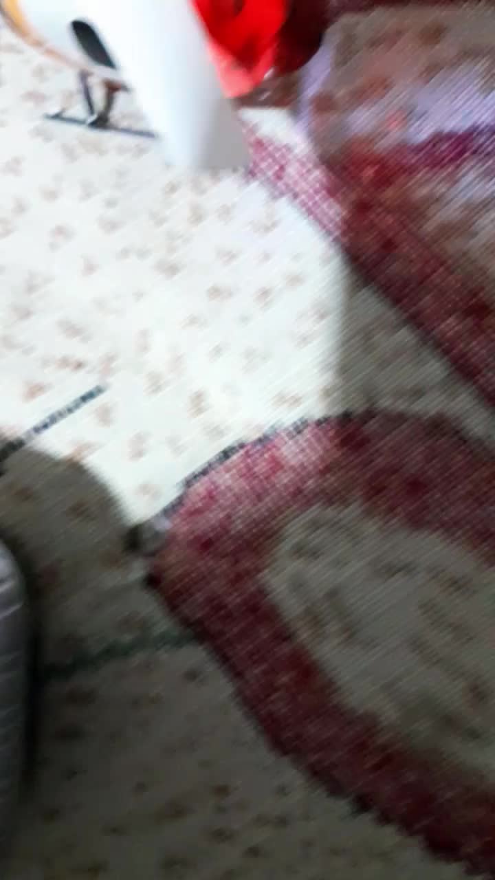 هلی کوپتر چهارکانال|اسباب‌‌بازی|ازنا, |دیوار