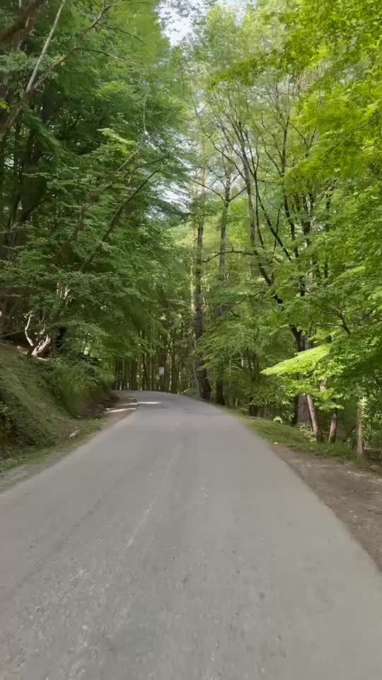 ویلا مازندران سوادکوه زیراب کد (2)|اجارهٔ کوتاهمدت ویلا و باغ|زیرآب, |دیوار