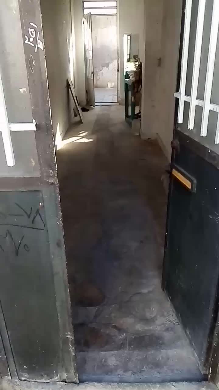 خانه منزل نقلی حدودا ۷۵ متری|فروش خانه و ویلا|شیراز, سهلآباد|دیوار