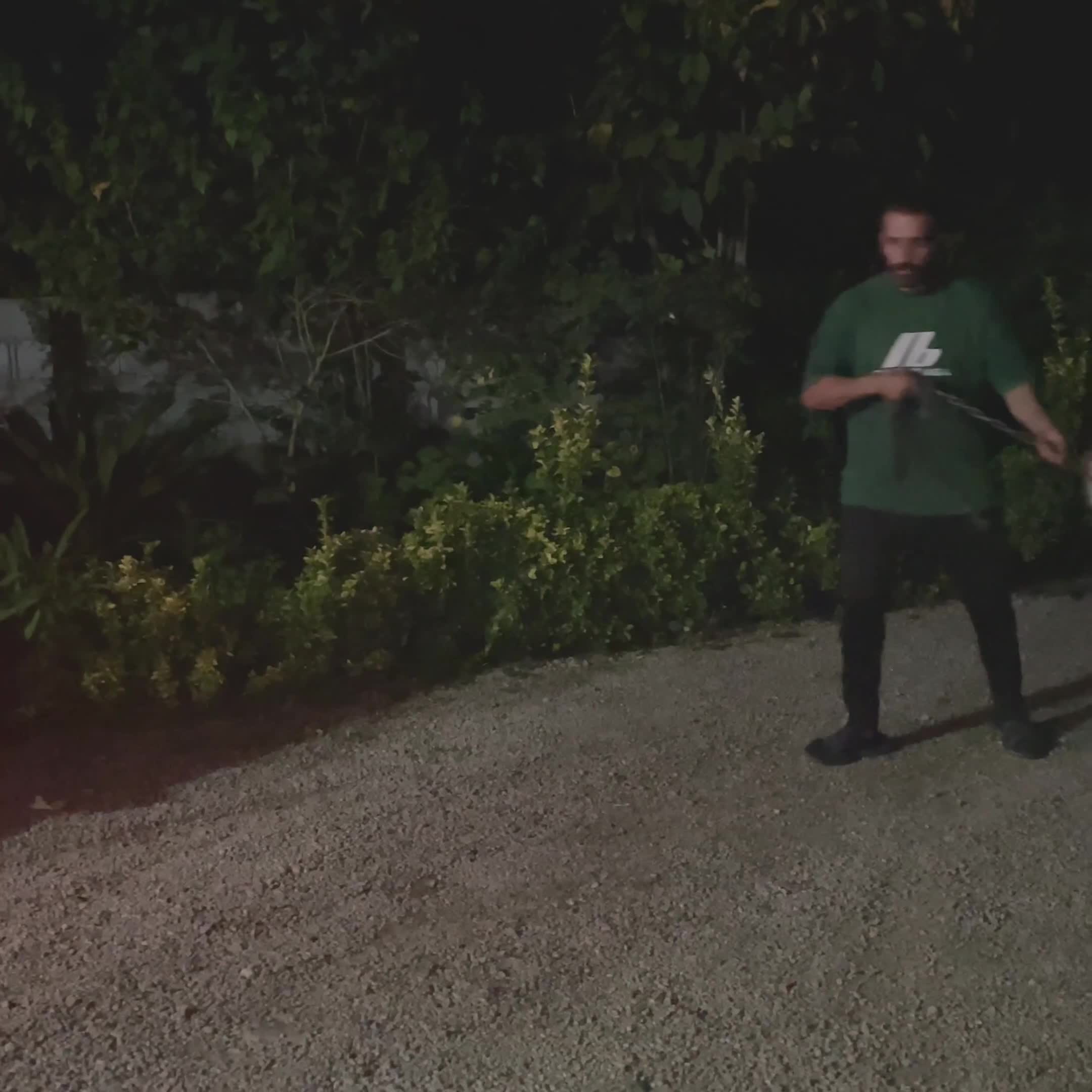 واگذاری سگ سرابی|سگ|تالش, هشتپر|دیوار