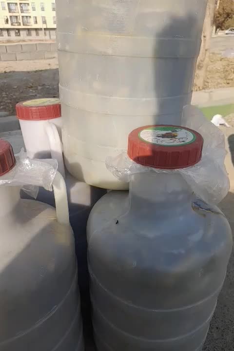 سلام خیارشور ویژه دبه ده کیلویی فت دار|خوردنی و آشامیدنی|محمدشهر, شهرک نگین|دیوار