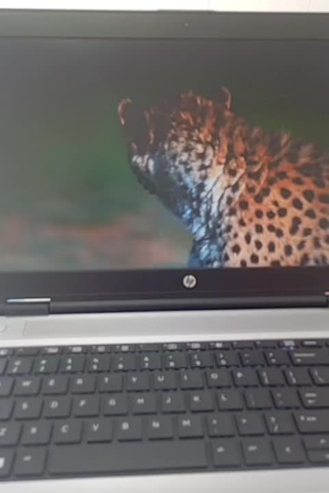 لپتاپ HP ProBook 650 g2|رایانه همراه|برازجان, |دیوار