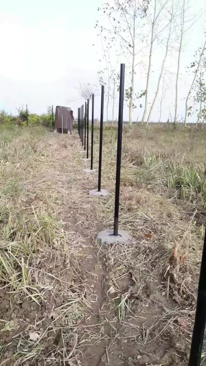 فنس گالوانیزه گرم تولید فروش.نصب شاخ گوزنی|خدمات باغبانی و درختکاری|رشت, منظریه|دیوار