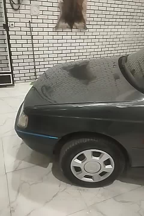 پروروادرحدصفر86|خودرو سواری و وانت|اورامان, |دیوار