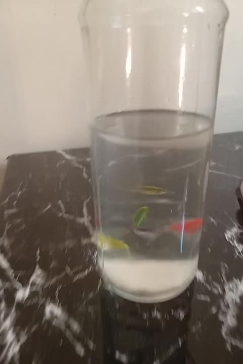 تلاریوم ویال|ماهی|تهران, گلچین|دیوار