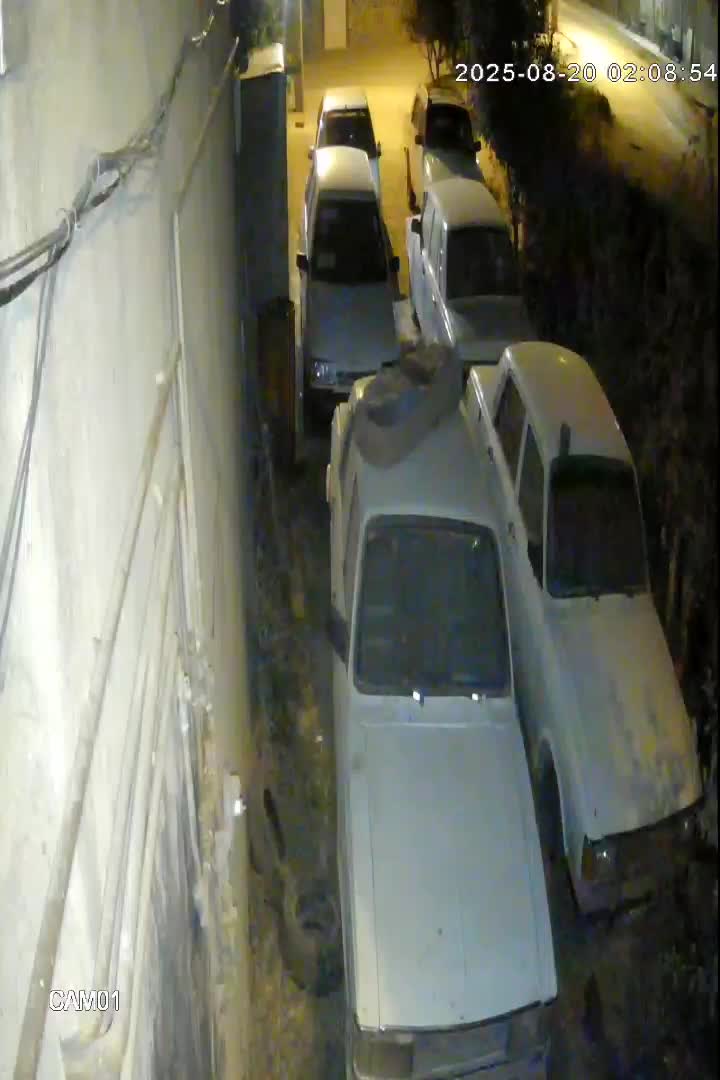 فروش و خرید انواع تصادفی و فرسوده|قطعات یدکی و لوازم جانبی|مهاباد (آذربایجان غربی), |دیوار