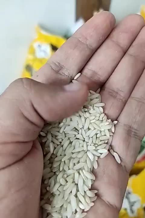 برنج/عنبربو/هاشمی/خوش عطر و طعم/امکان مرجوعی|خوردنی و آشامیدنی|قم, پردیسان|دیوار