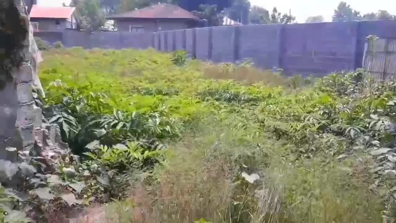 ۸۶۰ متر مسکونی شفت شالماء|فروش زمین و ملک کلنگی|احمدسرگوراب, |دیوار