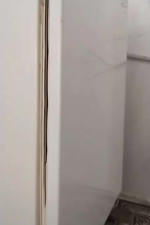 نیازمند همخانه خانم|اجارهٔ خانه و ویلا|سیرجان, |دیوار