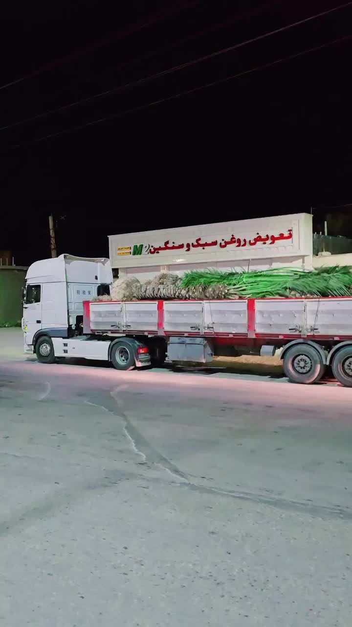 تولید پالم تامین نخل ارسال فنیکس تنها مرجع رسمی|خدمات باغبانی و درختکاری|اصفهان, باغ زرشک|دیوار