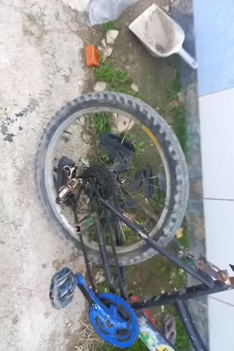 دوچرخه16|دوچرخه، اسکیت، اسکوتر|کردکوی, |دیوار