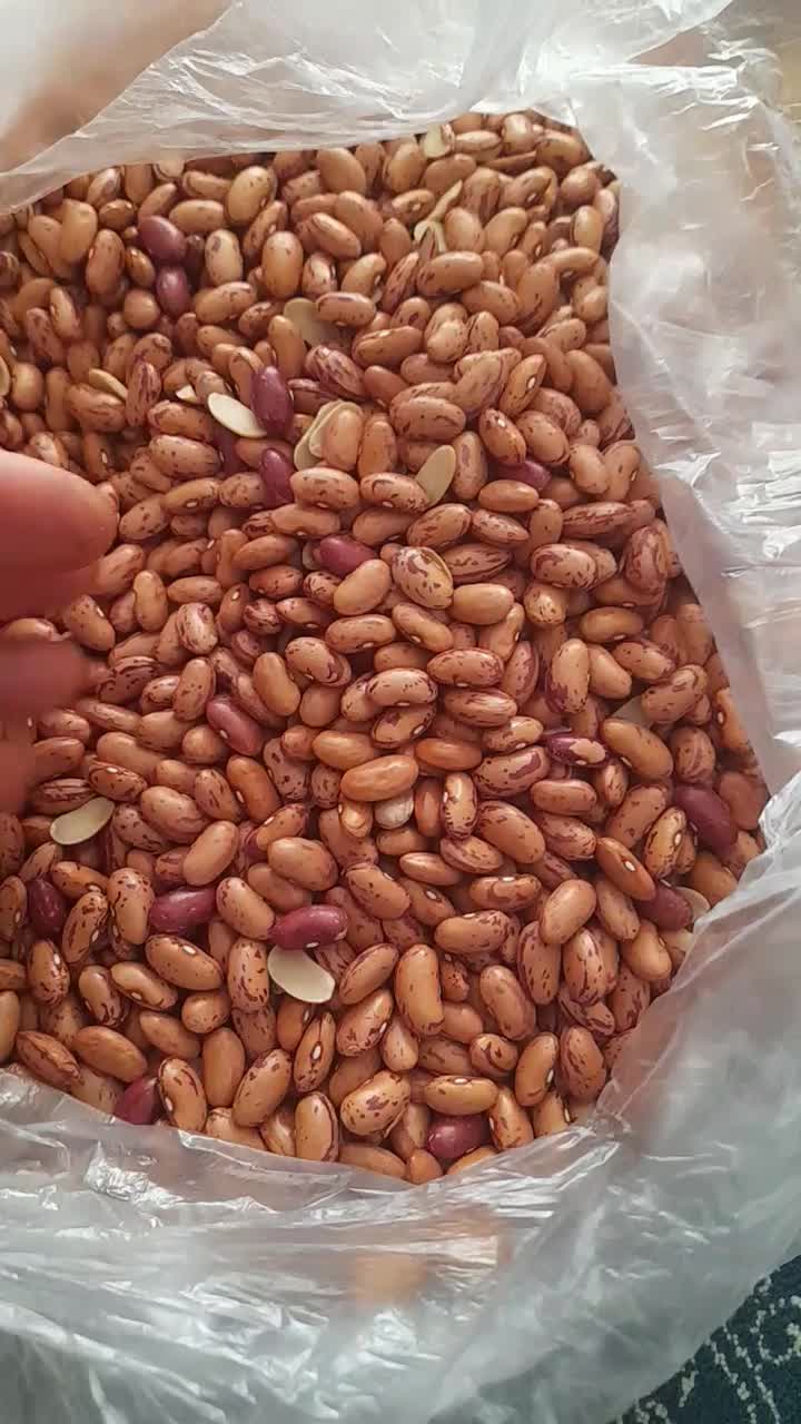 حبوبات|خوردنی و آشامیدنی|شیراز, میانرود|دیوار