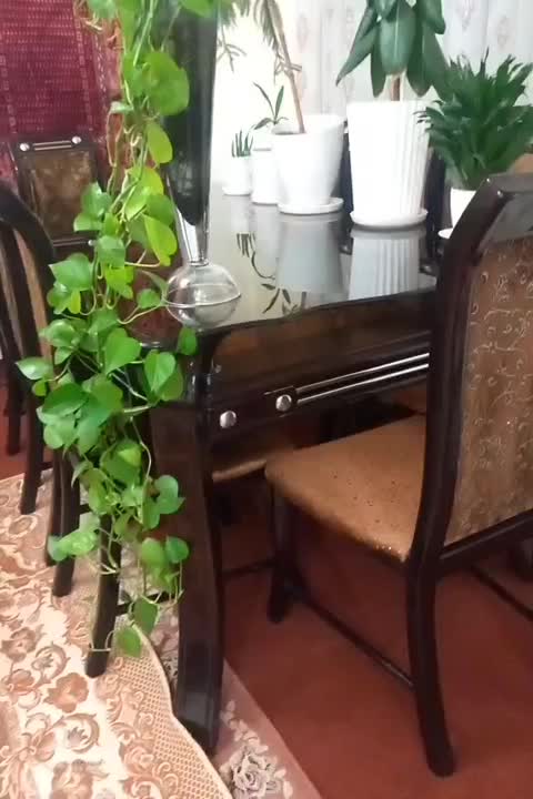 میزناهارخوری|میز و صندلی غذاخوری|آبیک, |دیوار