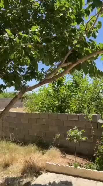 ویلا باغ مجهز قیمت پایین|فروش خانه و ویلا|ارژن, |دیوار