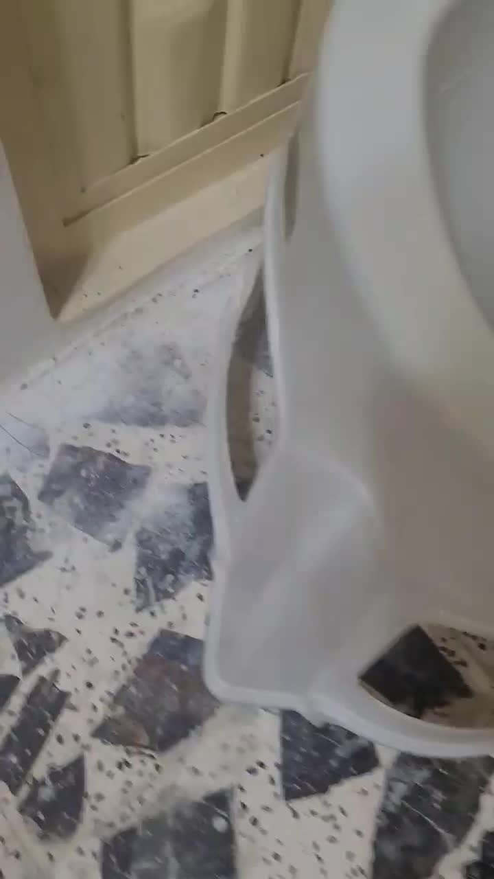 توالت فرنگی در حد نو|لوازم سرویس بهداشتی|چالوس, |دیوار