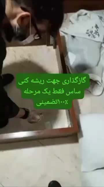سمپاشی ضدعفونی سم زدایی حشرات ساس موش سوسک مورچه|خدمات نظافت|تهران, خزانه|دیوار