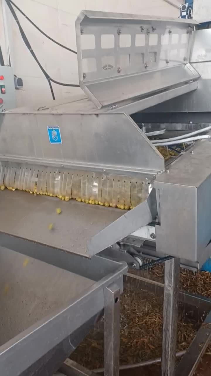 فروش عمده و جزئی زیتون شمال زیتون پرورده|خوردنی و آشامیدنی|نورآباد, |دیوار