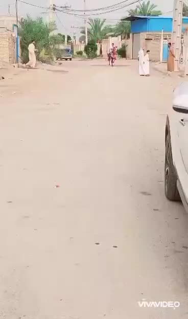 اسب حمدانی چهارساله|اسب و تجهیزات اسبسواری|شوشتر, |دیوار