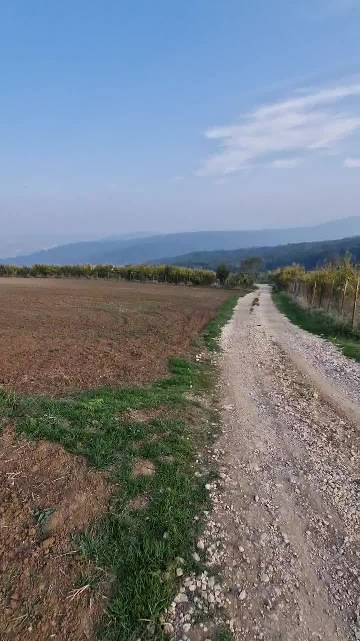 زمین ۱۰۰۰متری دوتا پلاک ویو ۳۶۰درجه|فروش زمین و ملک کلنگی|نکا, |دیوار