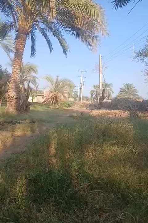 زمین.مسکونی|فروش زمین و ملک کلنگی|عنبرآباد, |دیوار