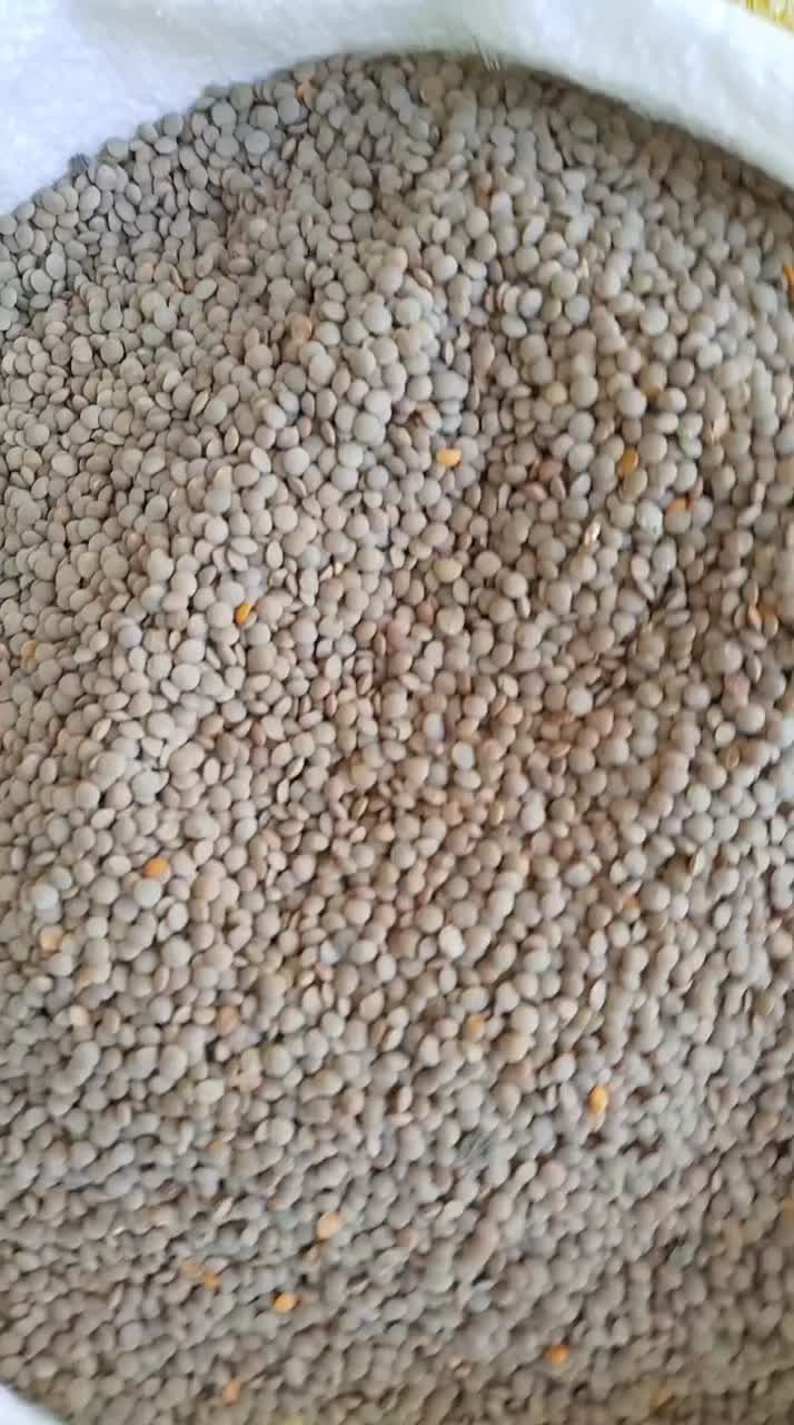 حبوبات فروشی اسدی|خوردنی و آشامیدنی|هرسین, |دیوار