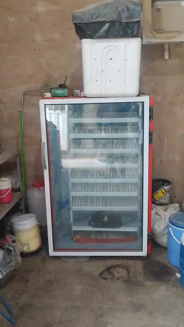 دستگاه جوجه کشی مشهد برق|لوازم جانبی حیوانات|کاشمر, |دیوار