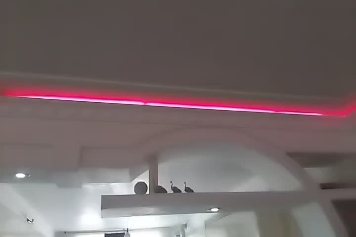 سفیدکاری .گچکاری وخدمات بنایی|خدمات پیشه و مهارت|ورامین, ورامین|دیوار