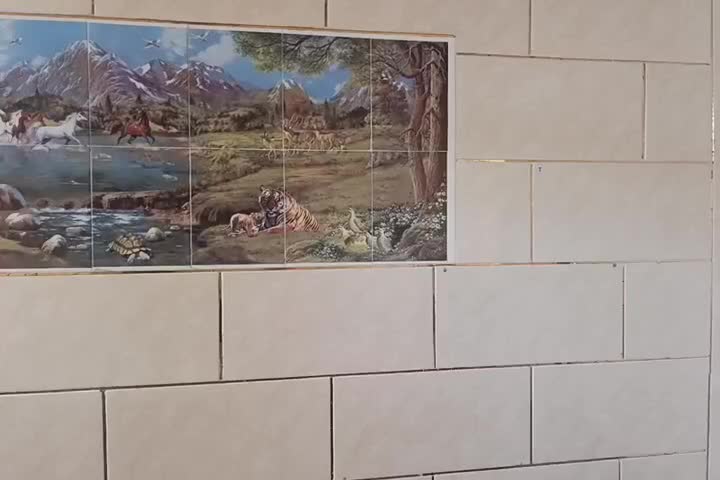 بنایی ساختمان صفر تا صد|خدمات پیشه و مهارت|ایذه, |دیوار