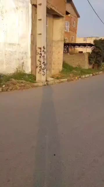 زمین پر برکت|فروش زمین و ملک کلنگی|هادی شهر, |دیوار