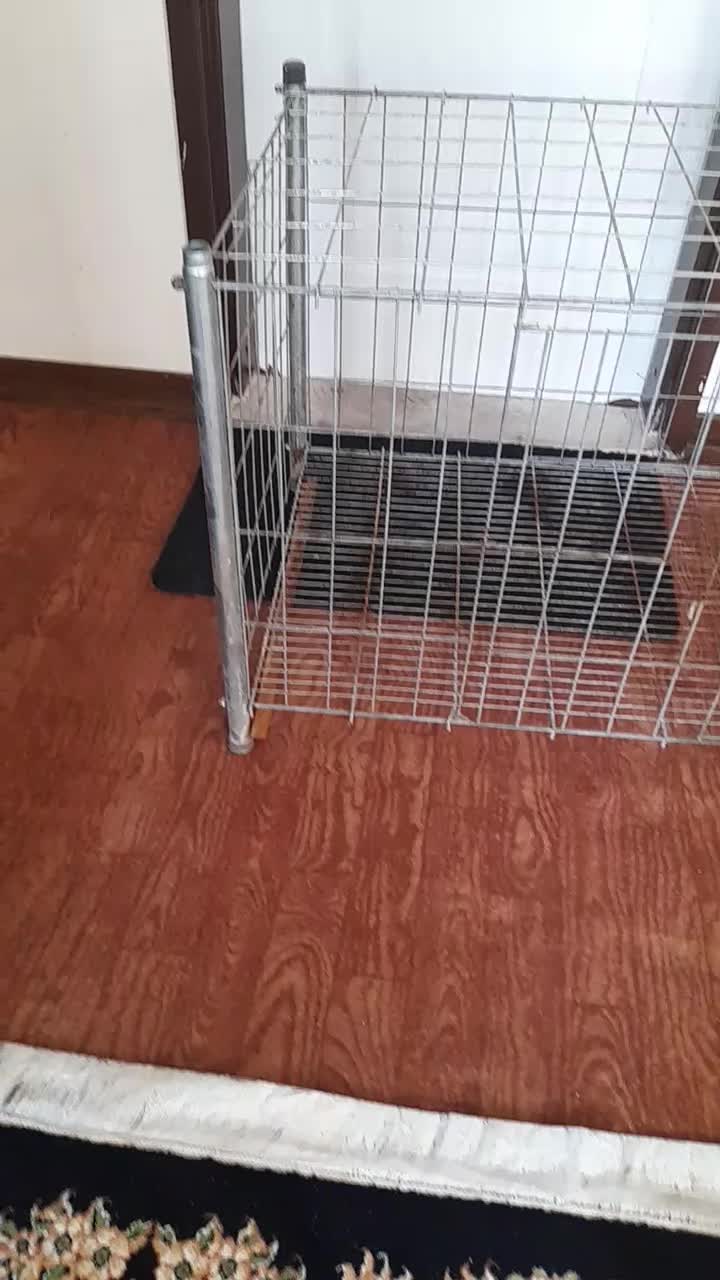 قفس سگ|لوازم جانبی حیوانات|پرند, فاز ۵|دیوار