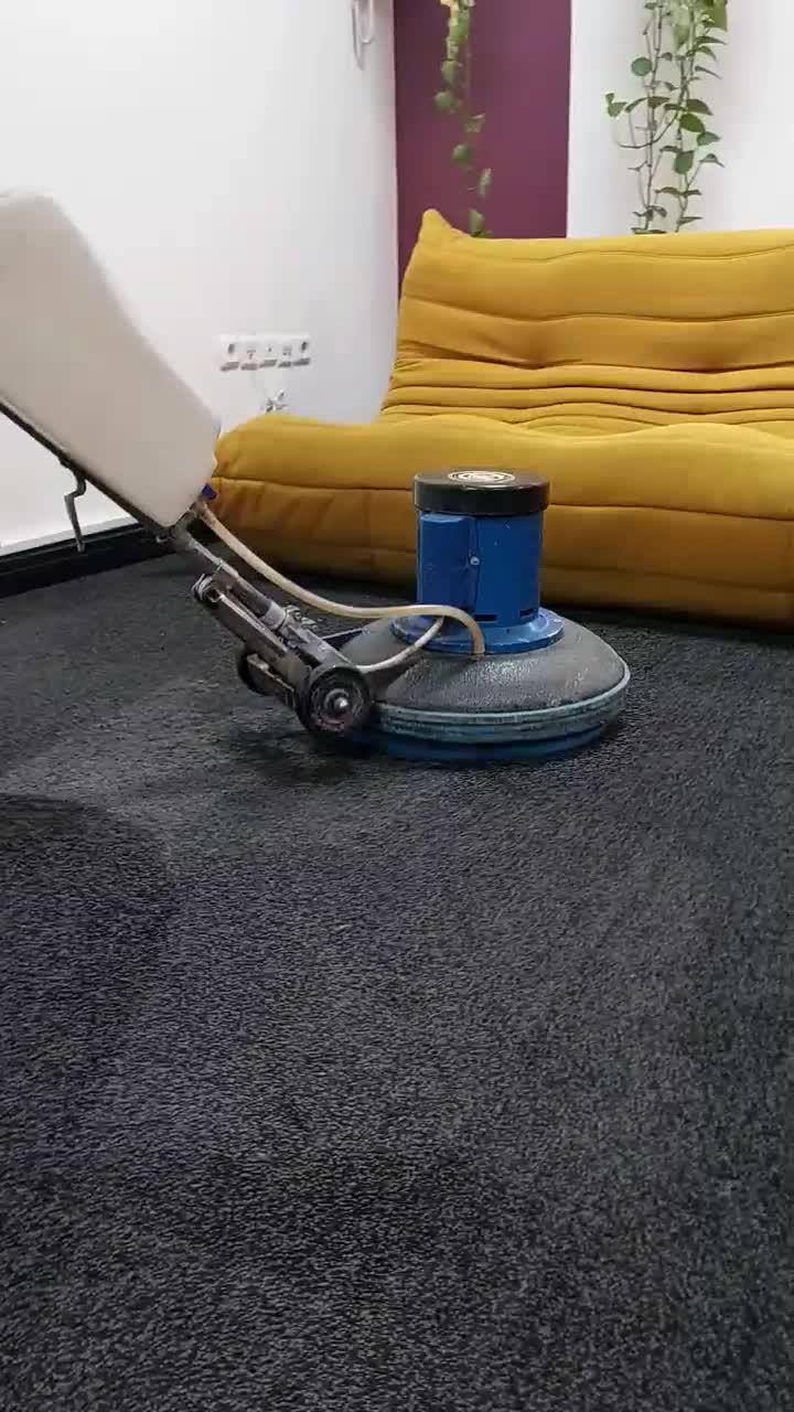 موکت شویی در محل تمام نقاط تهران قالیشویی تهران|خدمات نظافت|تهران, یوسف‌آباد|دیوار