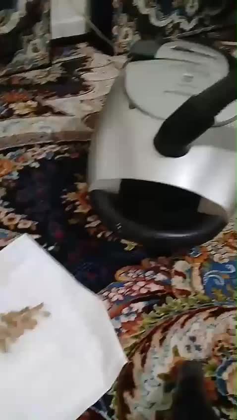 جاروبرقی|جاروبرقی، جارو شارژی، بخارشو|رباط‌کریم, رباط‌کریم|دیوار