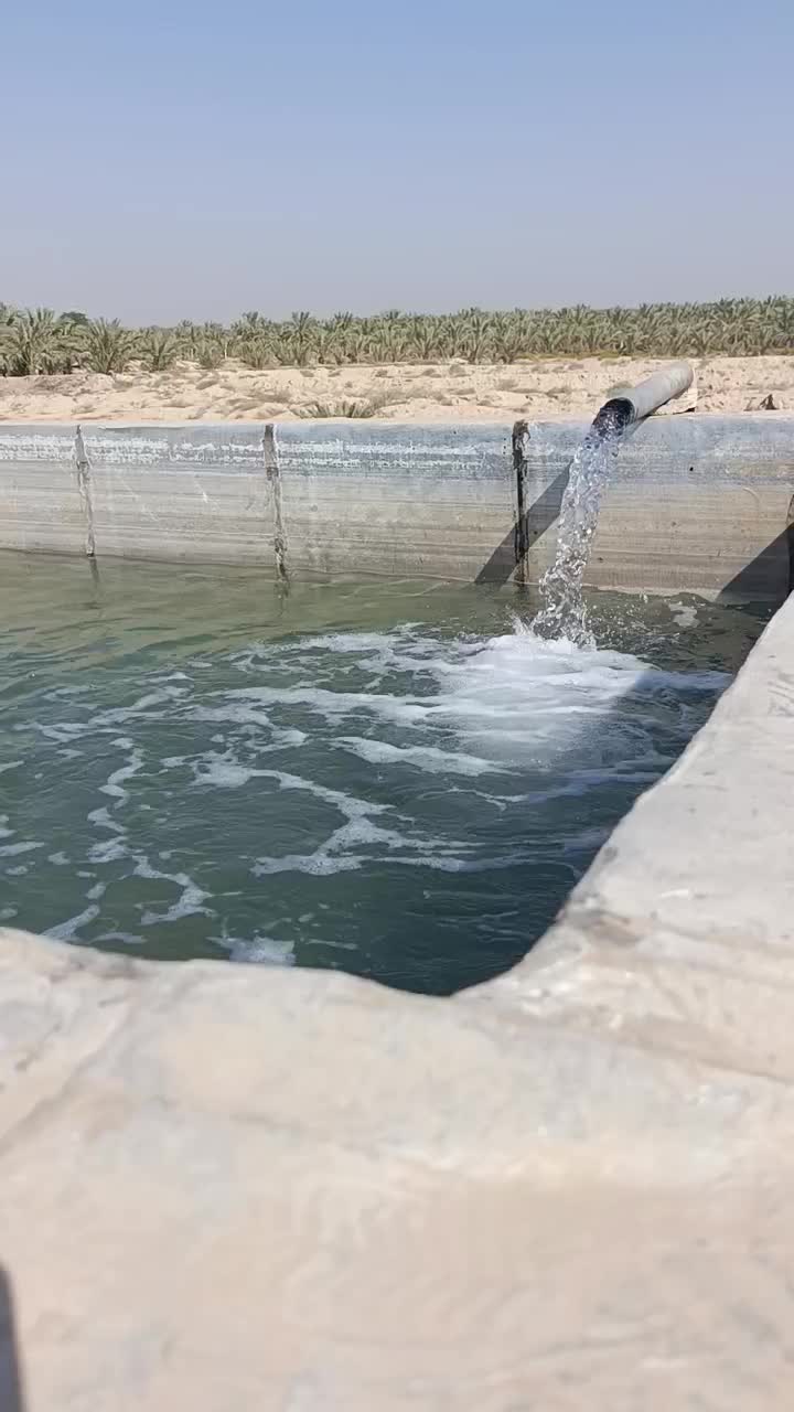 ۱۷ هکتار زمین کشاورزی با سند تک برگ|فروش دفتر صنعتی، کشاورزی، تجاری|برازجان, |دیوار