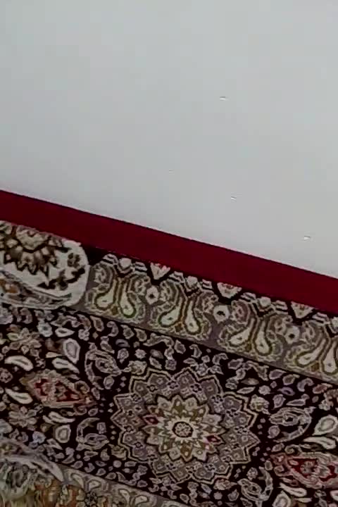 پشتی|پشتی|قرچک, میرزائی شمالی|دیوار