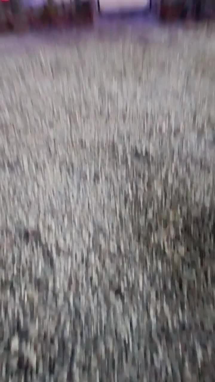 سالن جشن، تولد، مهمانی ،عقد|اجارهٔ کوتاهمدت آپارتمان و سوئیت|گلپایگان, |دیوار