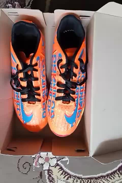 کفش سالنی|کیف، کفش، کمربند|یاسوج, |دیوار