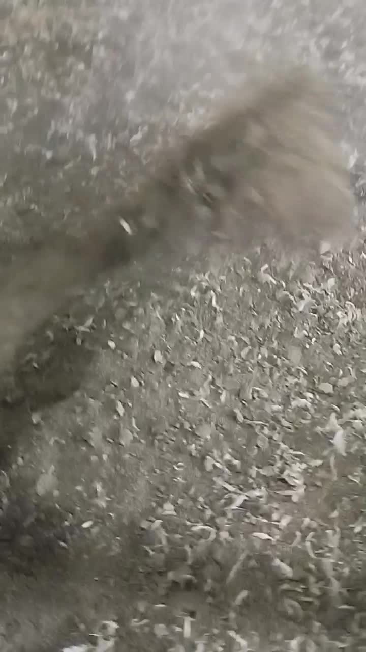 همه نوع کود مرغی وبوقلمون همراه با فیلم|خدمات باغبانی و درختکاری|قزوین, |دیوار