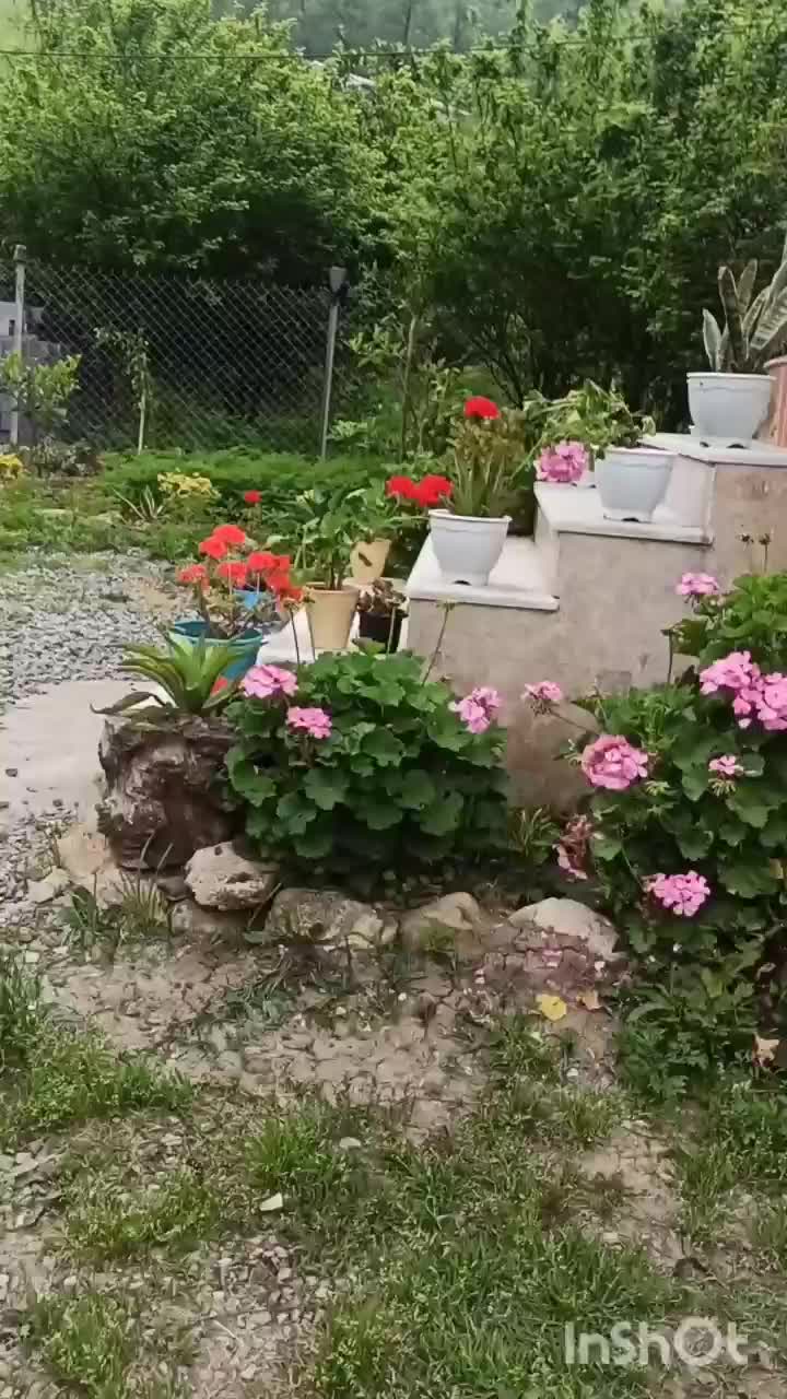 اجاره کلبه ویلای آسمان.|اجارهٔ کوتاهمدت ویلا و باغ|بابل, |دیوار