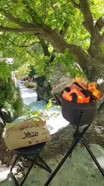 ذغال کبابی|عمده‌فروشی|کیار, |دیوار