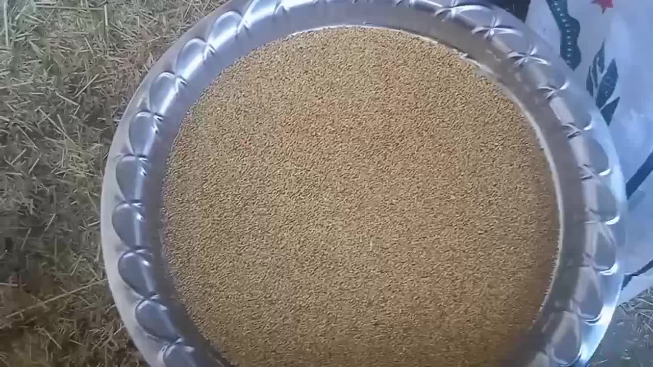 یونجه|عمدهفروشی|خنداب, |دیوار