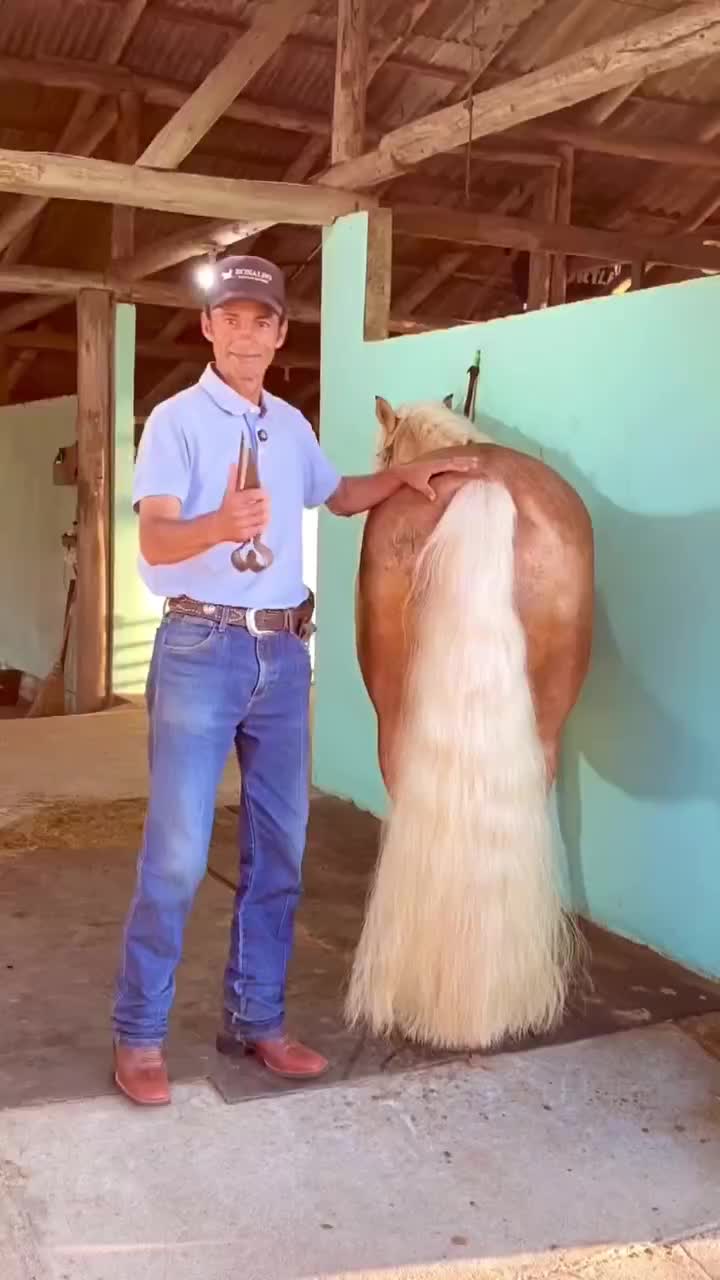 پک ضدریزش|آرایشی، بهداشتی، درمانی|محمدشهر, سیدآباد|دیوار